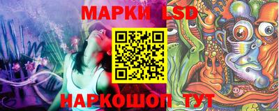 индика Волгодонск