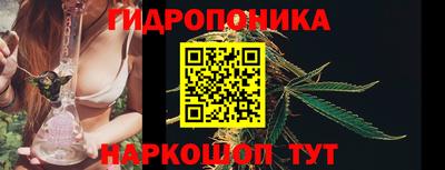 индика Волгодонск