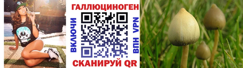 Галлюциногенные грибы ЛСД  Дзержинский 