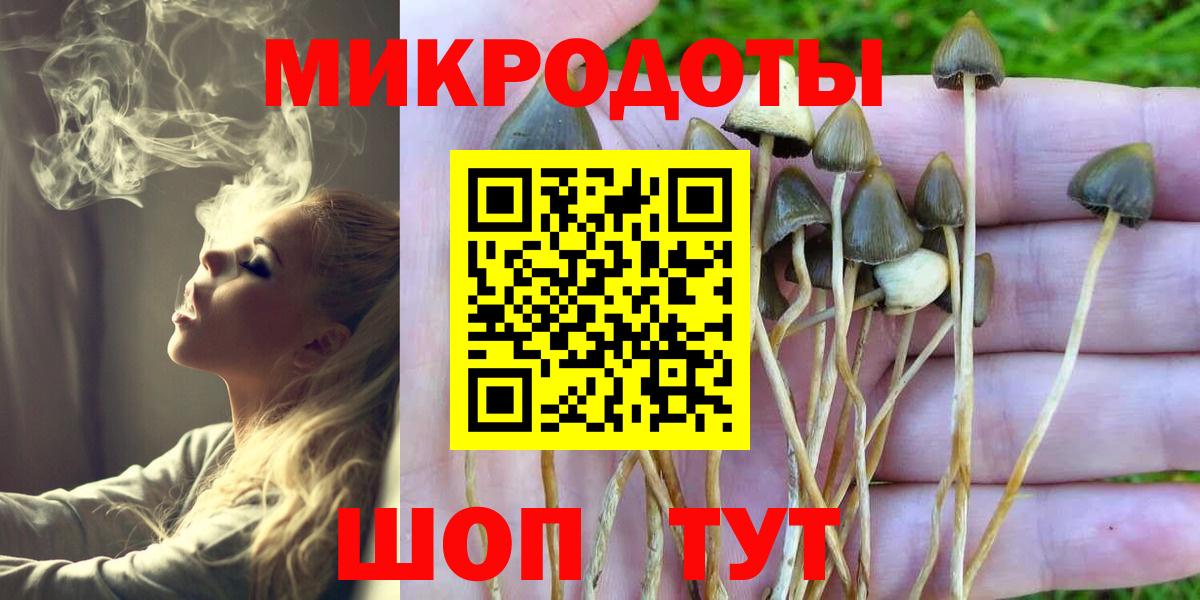 Псилоцибиновые грибы Cubensis Дзержинский