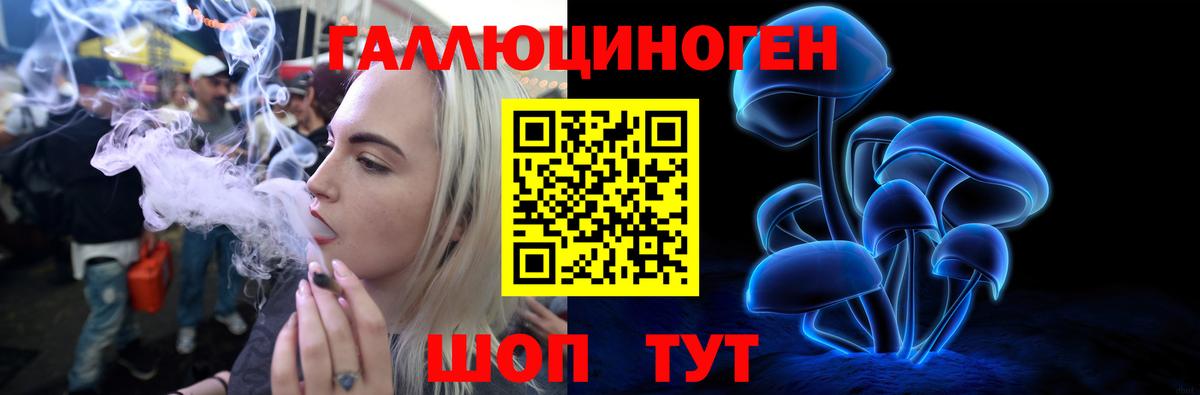 Дзержинский  Галлюциногенные грибы Cubensis  как найти наркотики  Вход с VPN 